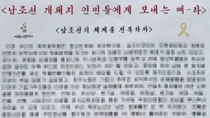 광주서 ‘北 삐라’ 표방 정부 비판 전단 발견…경찰 수사