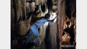 울진 성류굴서 신라 ‘진흥왕’ 관련 국보급 명문 판독
