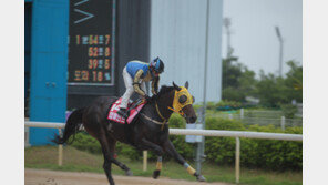 렛츠런파크 부경의 반격이 시작되다