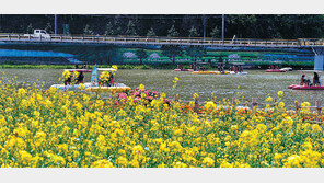 20년 전통 ‘홍길동축제’가 황룡강 꽃길과 만나다