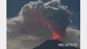 발리섬 아궁화산 폭발…화산재로 항공기 5편 결항