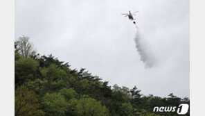 대구 환성산 인근 산불 재발화…소방당국 진화 중
