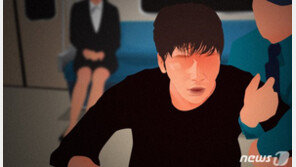 ‘임신부 폭행’도 깜깜…서울 지하철 70% CCTV 없어