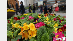 [날씨]27일 전국에 폭염 식힐 단비…낮 최고 18~25도