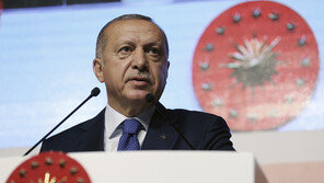 터키, 불발쿠데타 연루혐의 외교관 249명 체포