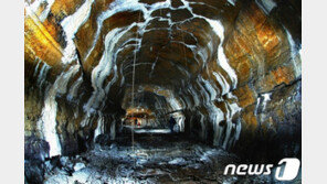 미생물에 박쥐까지…제주 용암동굴 보존 연구 본격화