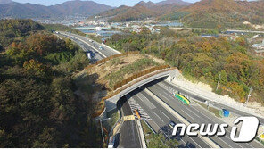 ‘고라니·멧돼지’ 야생동물 생태통로 이용 5년간 2.5배 늘어