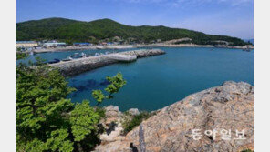 삶은 단 한 번뿐? 누구에게나 두 번째 삶이 있다