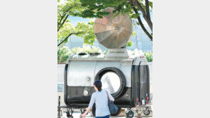 [고양이 눈]찍혔다!