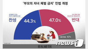 ‘자녀 체벌 금지’ 민법 개정에 반대 47%·찬성 44%