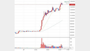 비트코인, 1년만에 1000만원 돌파…전문가 의견은