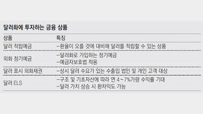 [머니 컨설팅]환차익만 노린 투자는 변수 많아 위험… 기축통화 확보, 자산관리 관점 접근을