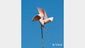 [고양이 눈]파란 하늘, 돌아라 바람개비