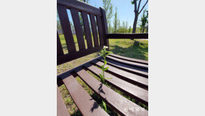 [고양이 눈]쉬어 갈래요