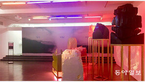 ‘인류세’를 살고 있는 우리를 돌아보며… ‘디어 아마존: 인류세 2019’展