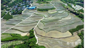 [청계천 옆 사진관] 지리산 구례군 산동면 사포마을 다랭이 논