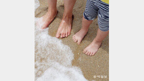 [고양이 눈]파도와 첫 만남