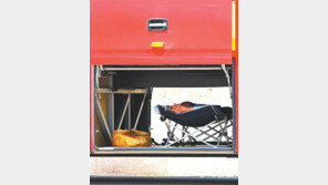 [고양이 눈]막간의 단잠