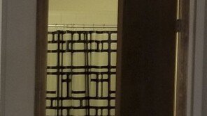 아파트에 난입한 사슴…혼자 사는 할머니 구조돼