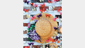 [고양이 눈]모자일까 꽃일까 