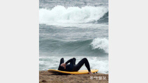 [고양이 눈]파도야, 어쩌란 말이냐