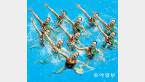“동아수영 통해 세계선수권 운영 자신감”