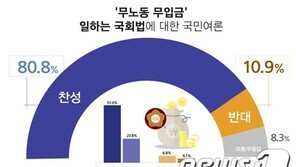 일 안 하는 국회의원 세비 반납에 찬성 80.8%·반대 10.9%