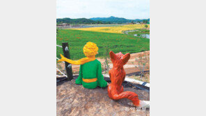 [고양이 눈]기다림