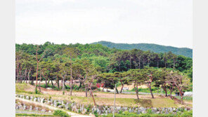 SK용인하이닉스 클러스터 수혜지 특별분양 