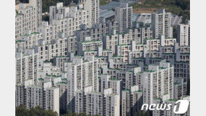서울 강남 집값 34주 만에 상승 전환…“은마 등 재건축 영향”