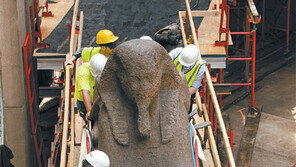 한 세기 만에 햇빛 보는 스핑크스