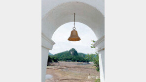 [고양이 눈]종이 울리면 비가 오려나