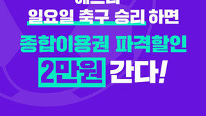 롯데월드 “한국팀 우승하면 16일 20세 이하 파격 할인 이벤트”