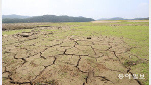 매년 강수량 늘고 있지만…우리나라도 물 부족 국가 될 수 있다