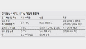 [머니 컨설팅]현금자산 통째로 달러-금 투자는 위험… 비중 늘리되 조정 시점에 분할 매수를