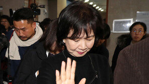 검찰, ‘목포 부동산투기 의혹’ 손혜원 의원 불구속 기소