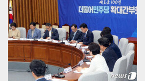 민주당, ‘손혜원 지역구’에 마포을 정청래…지역위원장 12명 임명