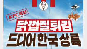 KFC 닭껍질 튀김 국내 시판 이뤄낸…‘소비자의 힘’