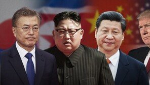 시진핑 집권 후 첫 방북…남북중 연쇄회담 이어질까