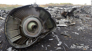 298명 전원 사망의 MH17 격추, 전러시아 대령 등 정식 기소