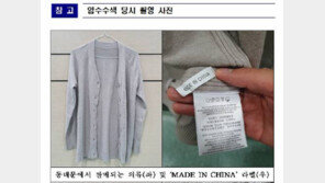 동대문 1만원짜리 옷 7만원에…유명디자이너 사기극 들통