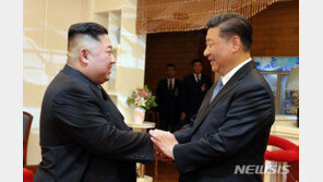 中 외교부 “시진핑 주석의 북한 국빈방문 성공적”