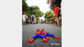 [고양이 눈]거리는 내가 지킨다?