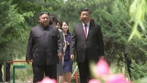 국정원 “시진핑 방북 때 김정은 부부 60% 이상 일정 동행”