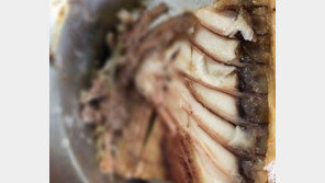 급식서 발견된 ‘고래회충’, 익혀먹으면?…전문가 “걱정 No”