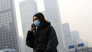 “대기오염이 여성 난소활동 저하시켜” 伊연구결과