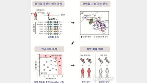 韓연구진, 유전자 변이의 질병유발 예측 정확도 높였다