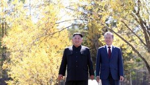文대통령 “김정은 위원장 비핵화 의지 믿어…대화의 장 나와야”