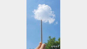 [고양이 눈]달콤한 구름