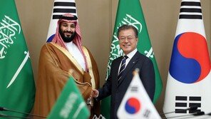 ADD 찾은 사우디 왕세자, 한국 무기 보며 한 말은…